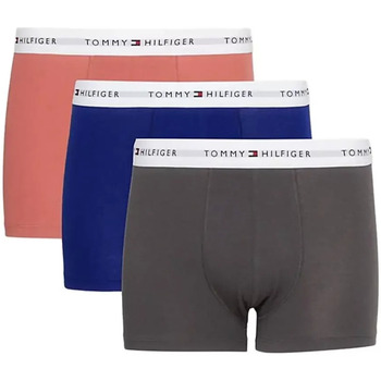 Sous-vêtements Homme Boxers Tommy Jeans essential Multicolore