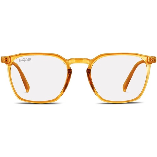 Montres & Bijoux Lunettes de soleil Smooder The North Face Orange