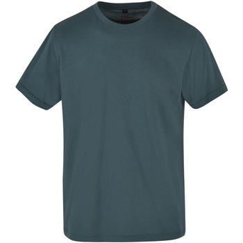Vêtements Homme T-shirts manches longues Build Your Brand BB010 Vert