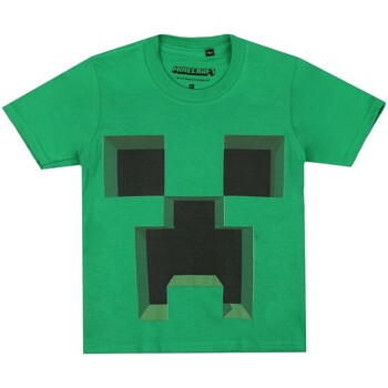 Vêtements Garçon T-shirts manches courtes Minecraft TV2116 Vert