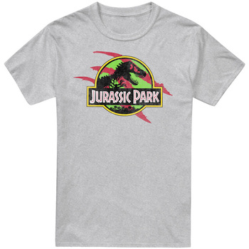 Vêtements Homme T-shirts manches longues Jurassic Park  Gris