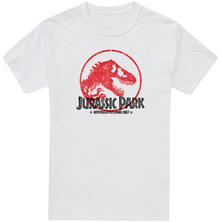 Vêtements Homme T-shirts manches longues Jurassic Park TV2140 Blanc