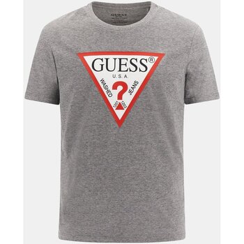 Vêtements Homme T-shirts manches courtes Guess M2YI71 I3Z14 Gris