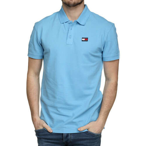 Vêtements Homme T-shirts & Polos Tommy Hilfiger DM0DM16224 Bleu