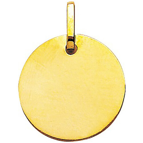 Montres & Bijoux Femme Pendentifs Brillaxis Plaque ronde en or jaune 9 carats Jaune
