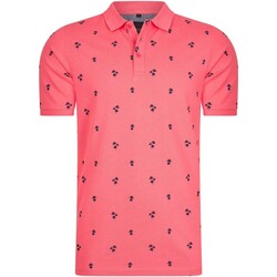 Vêtements Homme Polos manches courtes Mario Russo Polo Palm Tree Rose