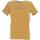 Vêtements Homme T-shirts manches courtes Sun Valley Tee shirt mc Marron