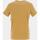 Vêtements Homme T-shirts manches courtes Sun Valley Tee shirt mc Marron