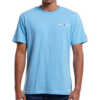 Vêtements Homme T-shirts manches courtes Tommy Hilfiger DM0DM15790 Bleu
