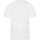 Vêtements Homme T-shirts manches courtes Vans T-shirt coton col rond Blanc