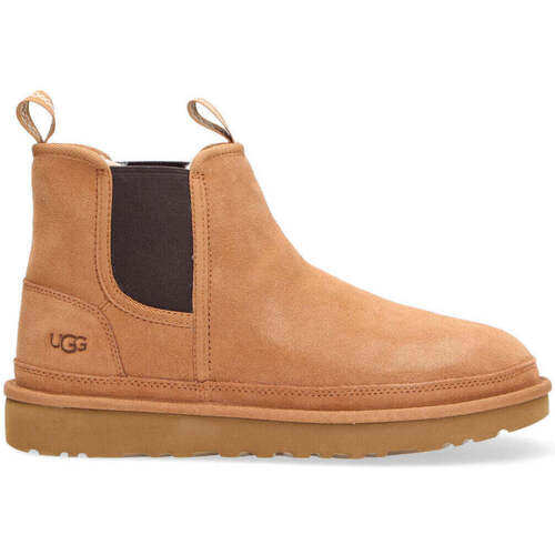 Chaussures Homme Boots UGG  Marron