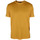 Vêtements Homme T-shirts & Polos Loro Piana T-Shirt Jaune