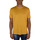 Vêtements Homme T-shirts & Polos Loro Piana T-Shirt Jaune