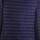 Vêtements Homme Vestes Ciesse Piumini Larry - 800Fp Light Down Hoody Jacket Bleu