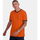 Vêtements Homme T-shirts manches courtes Noisy May Lupa Logo Sweatshirt T-shirt Homme Orange