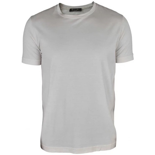 Vêtements Homme T-shirts & Polos Loro Piana T-Shirt Gris