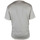 Vêtements Homme T-shirts & Polos Loro Piana T-Shirt Beige