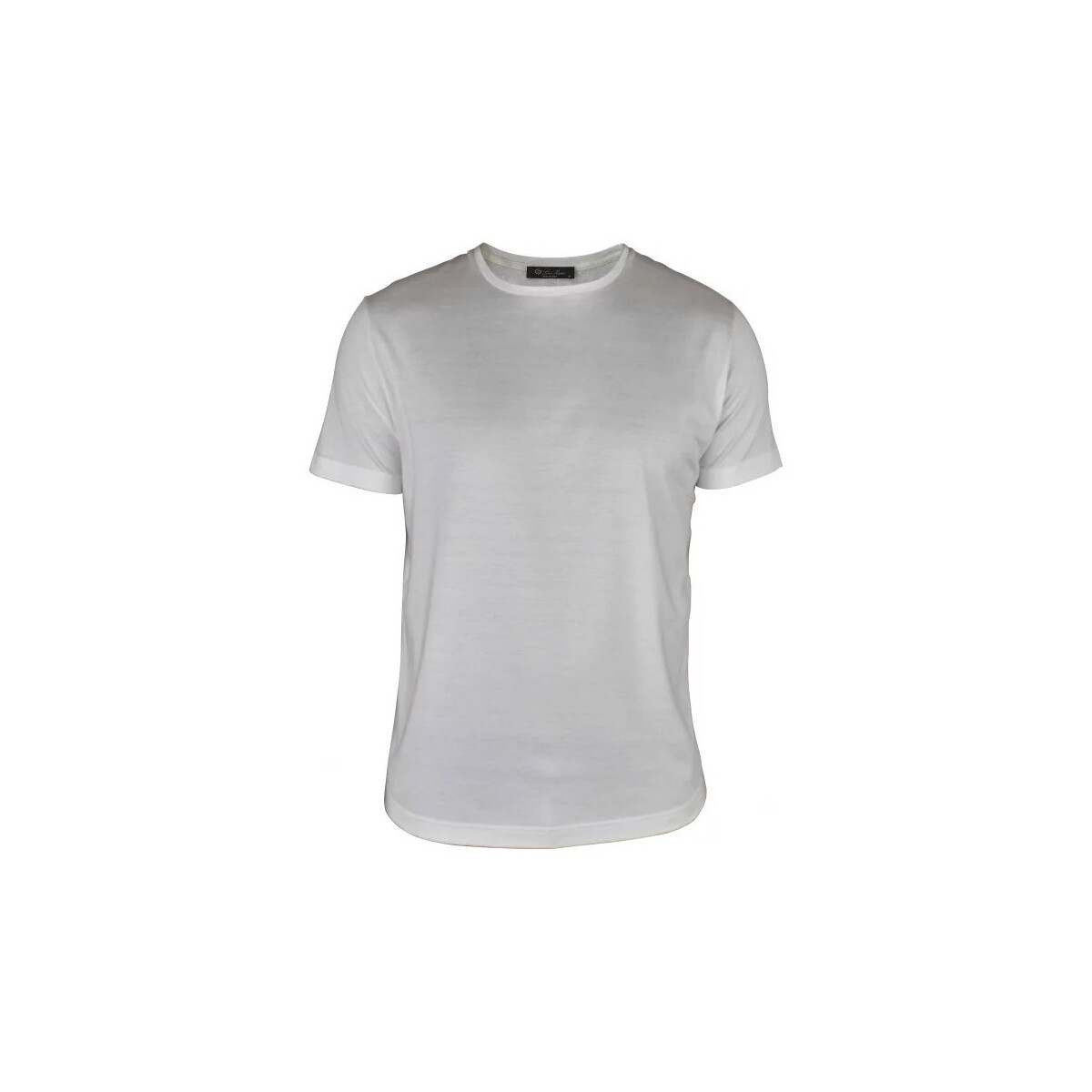 Vêtements Homme T-shirts & Polos Loro Piana T-Shirt Blanc