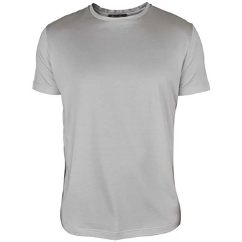 Vêtements Homme T-shirts & Polos Loro Piana T-Shirt Gris