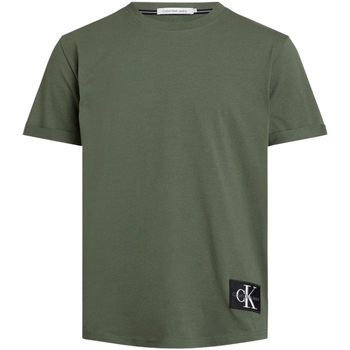 Vêtements Homme T-shirts & Polos Calvin Klein Jeans T-shirt coton col rond Vert