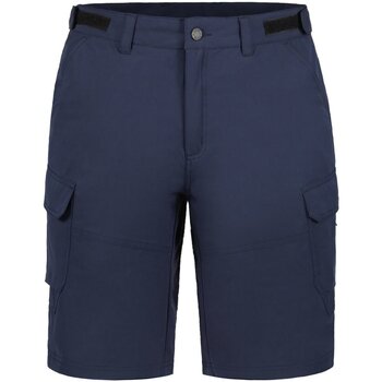 Vêtements Homme Shorts / Bermudas Icepeak  Bleu