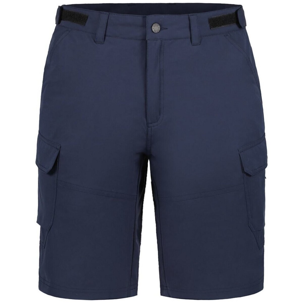 Vêtements Homme Shorts / Bermudas Icepeak  Bleu