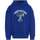 Vêtements Garçon Sweats Tommy Hilfiger 152532VTAH23 Bleu