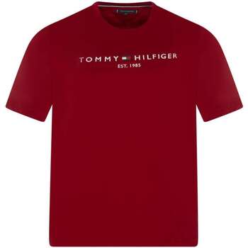 Vêtements Homme T-shirts manches courtes Tommy Hilfiger Big &Tall 153323VTAH23 Rouge