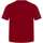 Vêtements Homme T-shirts manches courtes Tommy Hilfiger 153323VTAH23 Rouge