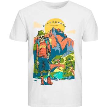 Vêtements Homme T-shirts manches courtes Jjecorp Logo Sweat Hood Play 153601VTAH23 Blanc