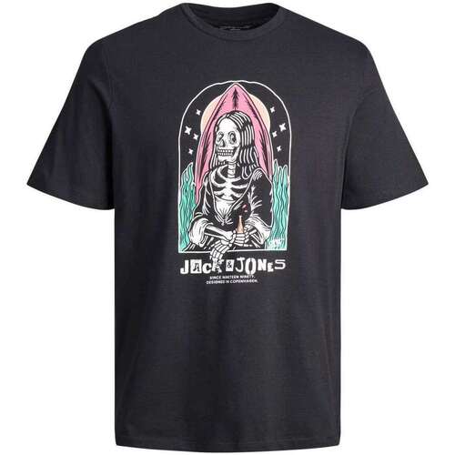 Vêtements Homme T-shirts manches courtes Jack & Jones 153684VTAH23 Noir