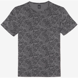 Vêtements Homme T-shirts Junior & Polos Le Temps des Cerises T-shirt presal gris et noir à motif Gris