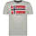 Vêtements Homme T-shirts manches courtes Geo Norway SW1239HGNO-BLENDED GREY Gris