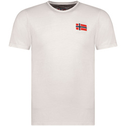Vêtements Homme T-shirts manches courtes Geographical Norway SW1269HGNO-LIGHT GREY Gris