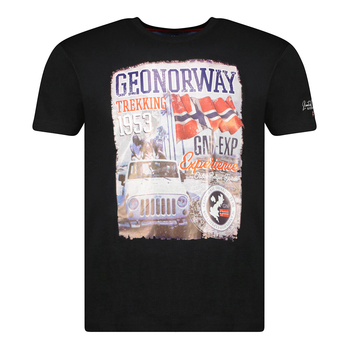 Vêtements Homme T-shirts manches courtes Geographical Norway SW1959HGNO-BLACK Noir