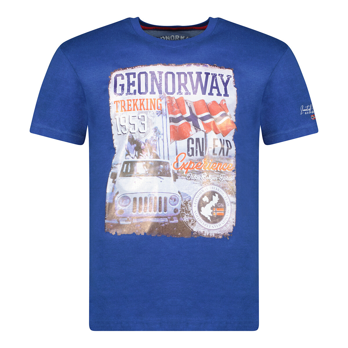 Vêtements Homme T-shirts manches courtes Geographical Norway SW1959HGNO-ROYAL BLUE Bleu