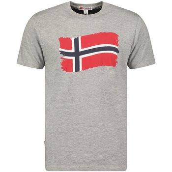 Vêtements Homme T-shirts manches courtes Geographical Norway SX1078HGN-BLENDED GREY Gris