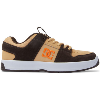 Chaussures Homme Chaussures de Skate DC Shoes Boots Geox J Haylax B Marron