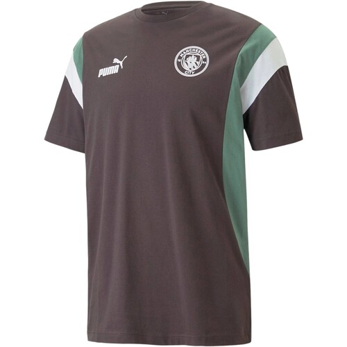 Vêtements Homme T-shirts manches courtes Puma Tee-shirt de football Manchester City Archive Gris
