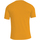 Vêtements Homme T-shirts manches longues Craghoppers Dynamic Orange
