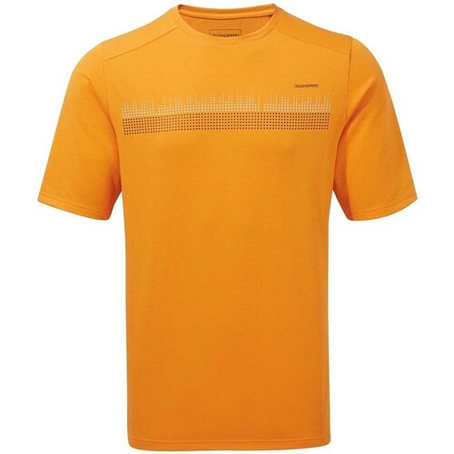 Vêtements Homme T-shirts jacket manches longues Craghoppers  Orange