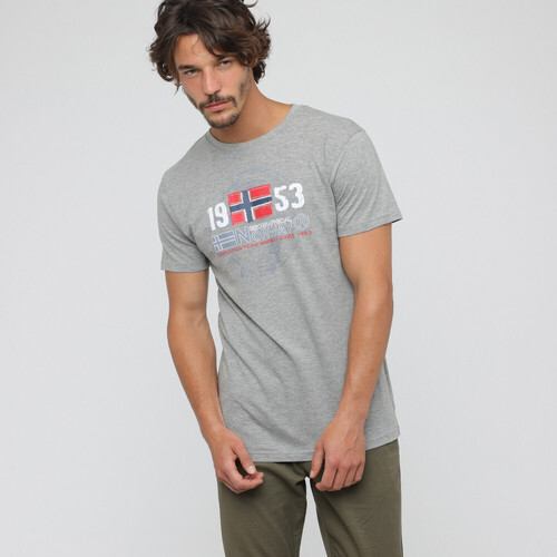 Vêtements Homme T-shirts & Polos Geographical Norway JAPIGAL t-shirt Homme Gris