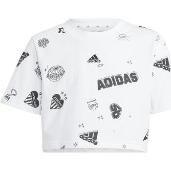 Vêtements Fille T-shirts manches courtes adidas Originals Jg bluv q3 aopt Blanc