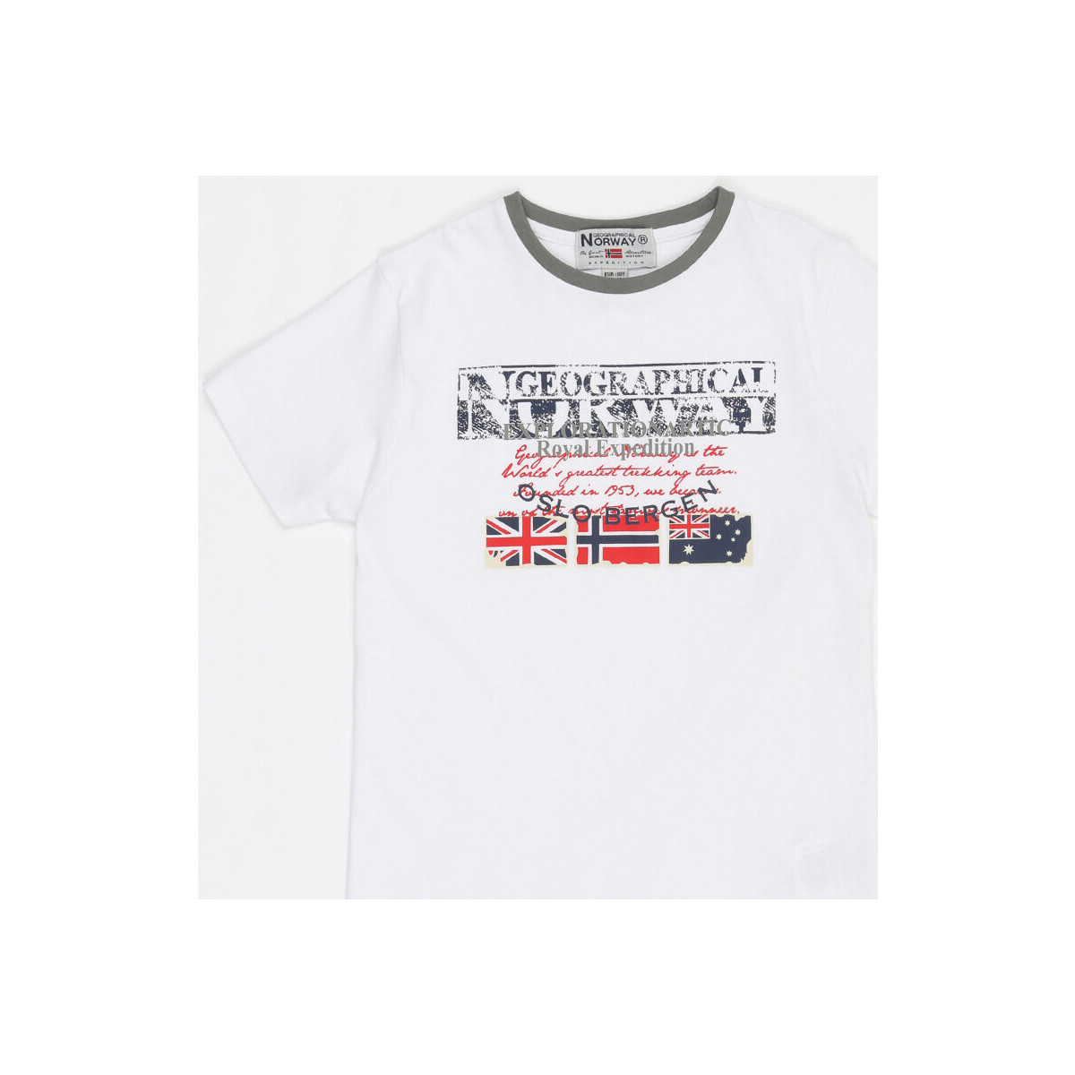 Vêtements Enfant T-shirts manches courtes Geographical Norway T-shirt Enfant Gris Blanc
