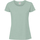 Vêtements Femme T-shirts manches longues Fruit Of The Loom Iconic Premium Vert