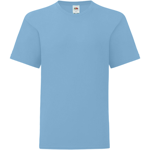 Vêtements Enfant T-shirts manches courtes Fruit Of The Loom 61023 Bleu
