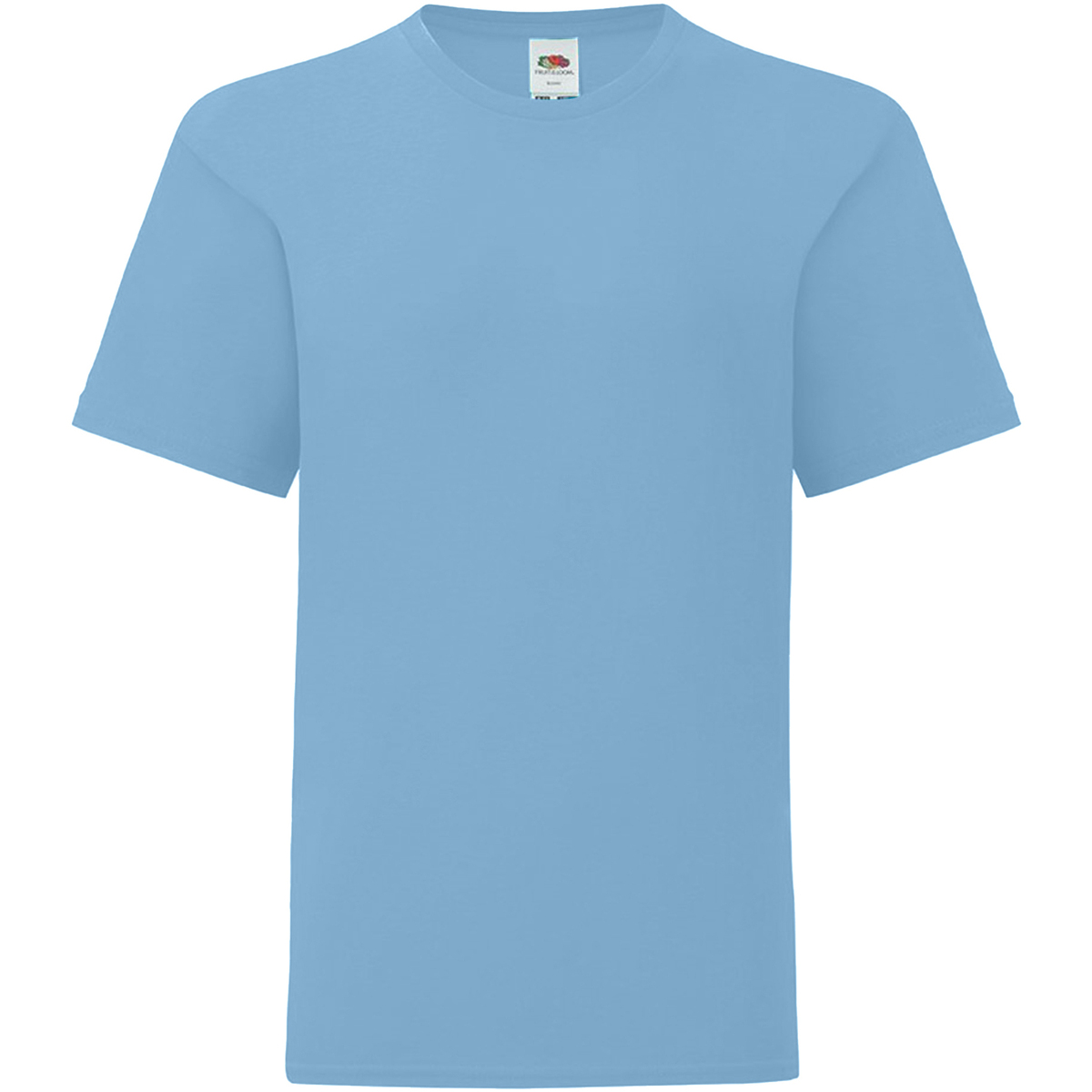 Vêtements Enfant T-shirts manches courtes Fruit Of The Loom 61023 Bleu