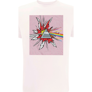 Vêtements T-shirts manches longues Pink Floyd RO1433 Blanc