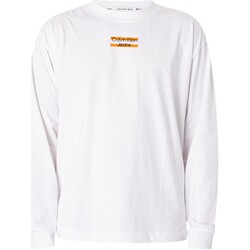 Vêtements Homme T-shirts manches courtes Calvin Klein Jeans T-shirt à manches longues à rayures transparentes Blanc