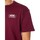 Vêtements Homme T-shirts manches courtes Vans T-shirt essentiel à logo dans le dos Rouge